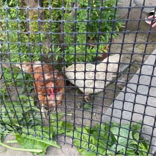 Garden Lattice Mesh Black Plastic Leakproof Mesh Net Cat Pet Chicken Ducks Fence Balcony Railing Stairs Protection Safety Net