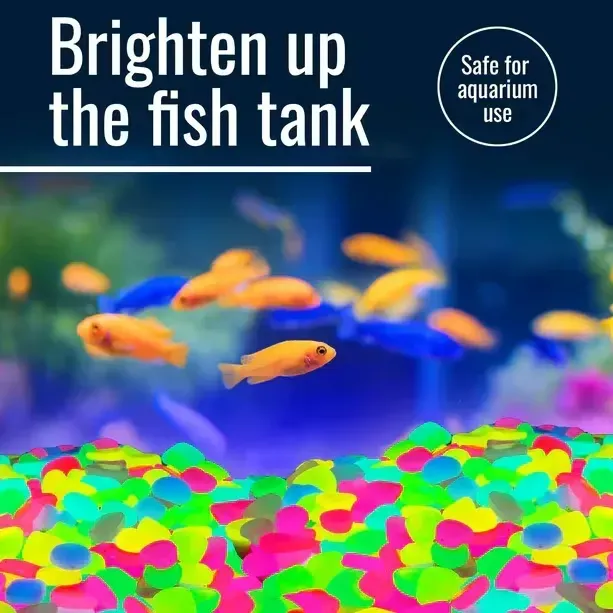 Glow In The Dark Rocks - Illuminate Your Outdoors with Enchanting Glow