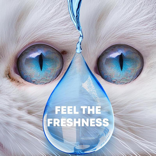 Natural Pet Eye Drops – 10ml – Cleans Tear Stains & Soothes