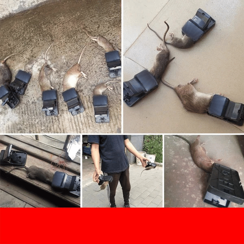 5PCS High Sensitivity Powerful Mouse Trap