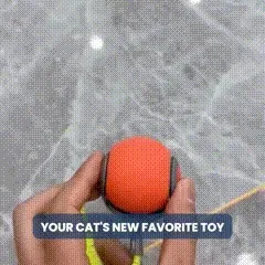 🔥Interactive Electric Rolling Ball with Teasing Tail