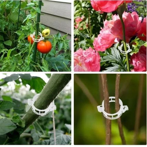 2026 Best-Seller: Pack of 100 Plant Support Clips for Securing Vines and Stems