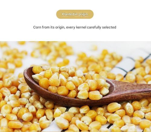 3-in-1 Butter Popcorn 5piece 510g