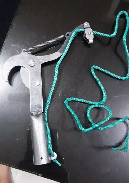 High Branch Pruning Shears