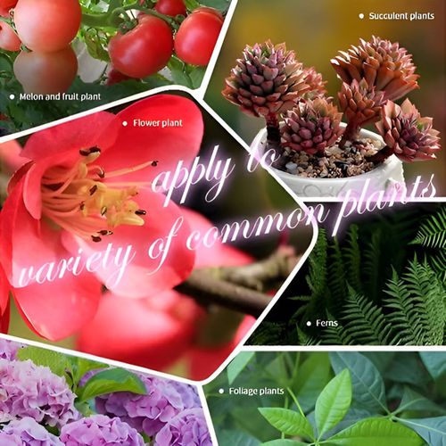 Organic long-lasting fertilizer in tablet form