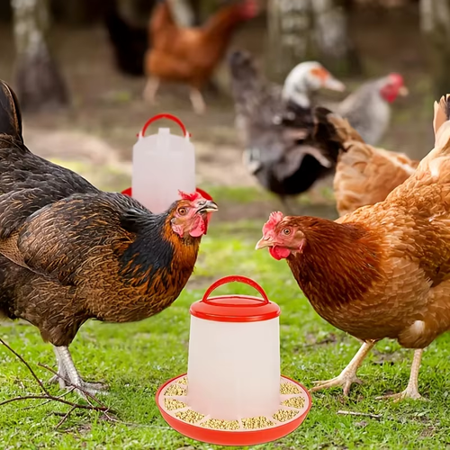 Chicken and Duck Feed Bucket with Legs – Dual-Purpose Poultry Feeder and Waterer (Includes Lid and Handle Suitable for Hanging)
