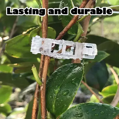 2026 Best-Seller: Pack of 100 Plant Support Clips for Securing Vines and Stems