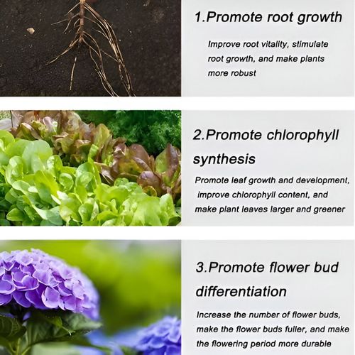 Organic long-lasting fertilizer in tablet form