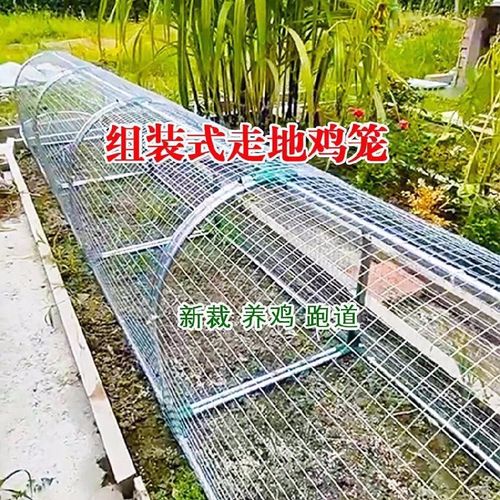 Take the subway network chicken cage runway chicken tunnel cage farm outdoor stroll chicken cage courtyard farmers free-range