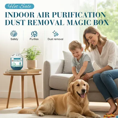 🔥3 pis Limited-Time Pre-Sale⏰Indoor Air Purification Dust Removal Magic Box🏠🌿