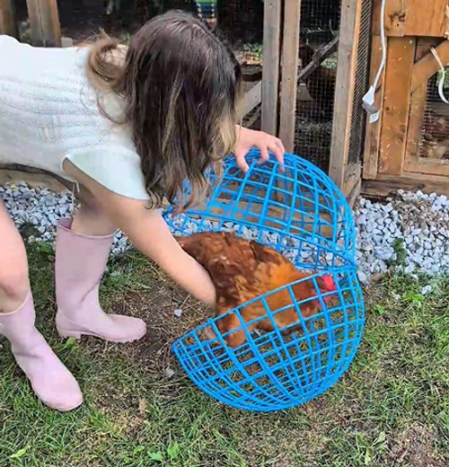 Ball Shaped Movable Chicken House Rollable Poultry Enclosure