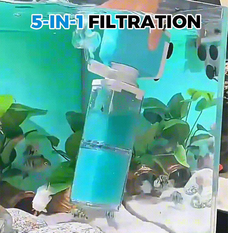 Automatic Aquarium Filter System🔥
