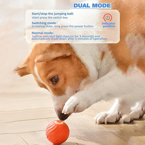 Automatic Teasing Dog Ball That Can't be Bitten