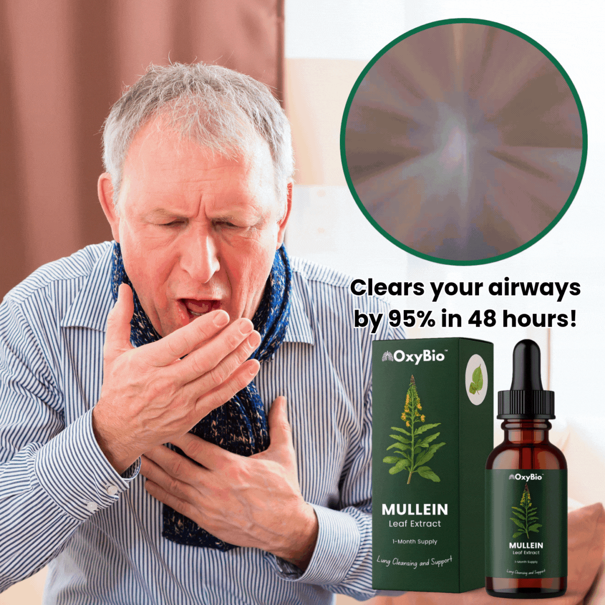 Mullein Drops for Lung Detox - Mullein Leaf Tincture with Chlorophyll - Helps Support Respiratory Health, Alcohol-Free, 1 Month Supply - 60ml