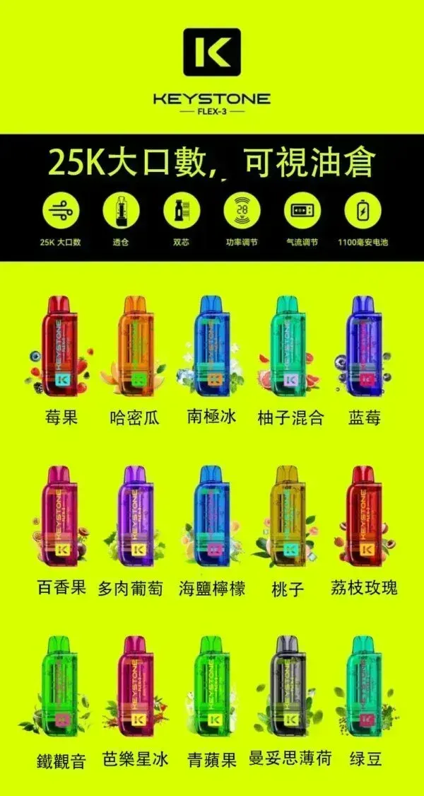 KEYSTONE鑰石 25000口 高口數電子煙 換彈設計 便攜日用