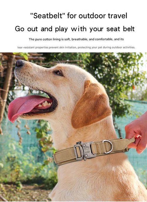 Heavy-Duty Tactical Dog Collar — Military-Grade Neckwear for Medium to Large Breeds — Thickened Training and Leash Collar
