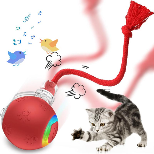 SPOVEN Cat&Dog Toy - Interactive USB Rechargeable Ball Toy on Rug with Bird Chirping, Anti-Depression Fun Gift for Cats & Dogs