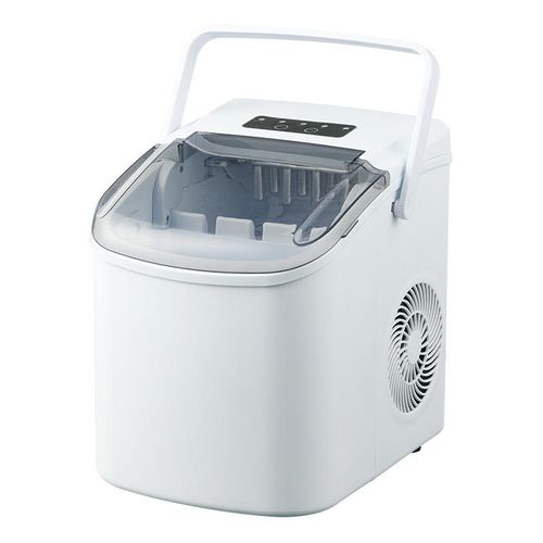 Ice maker