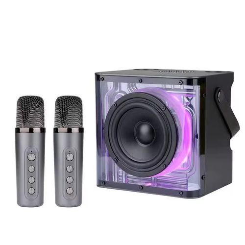 Portable Wireless Microphone Karaoke 10W Speaker Bluetooth RGB Lighting Party Play