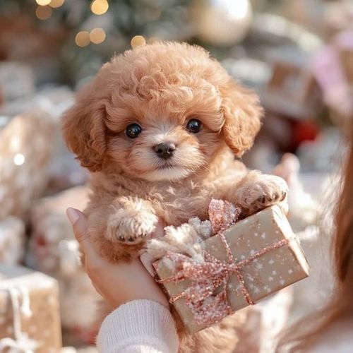 Hot selling plush electric toy dog walks and barks smart pet dog