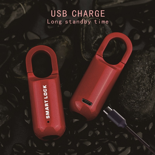 Zinc Alloy Mini Padlock for Luggage Travel Security with Fingerprint Unlock IPX2 Waterproof Single Lever Locking