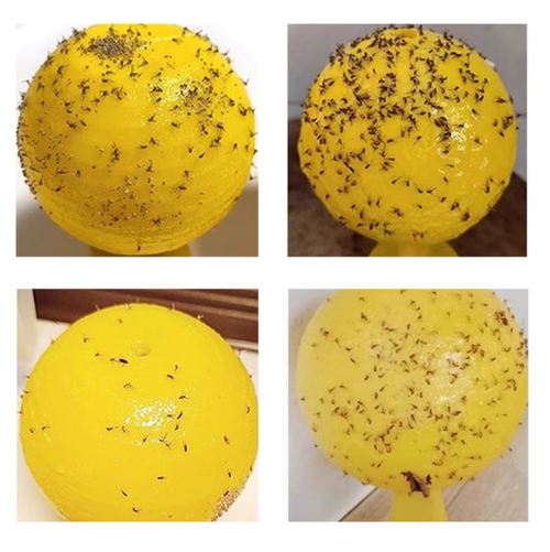 Hot Sale Indoor And Outdoor Garden Tools Fruit Fly Ball Fruit Fly Trap Ball Five Per Set