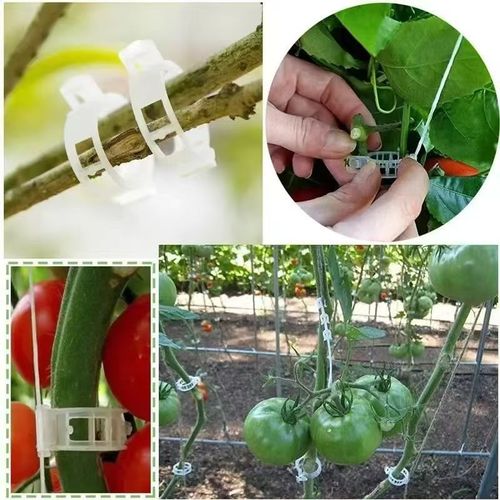 300pcs Plastic Plant Fixing Clip Vine Tomato Garden Supplies
