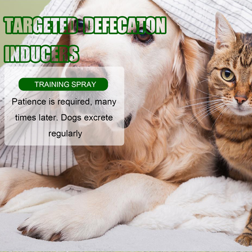Pet Potty Training Spray for Dogs Cats Attractant Spray Help Pets Pee in Right Place House Training