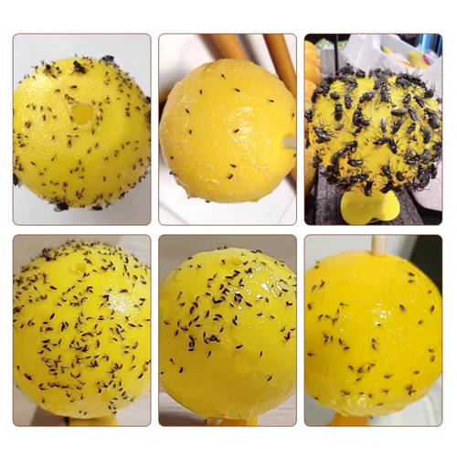 Hot Sale Indoor And Outdoor Garden Tools Fruit Fly Ball Fruit Fly Trap Ball Five Per Set