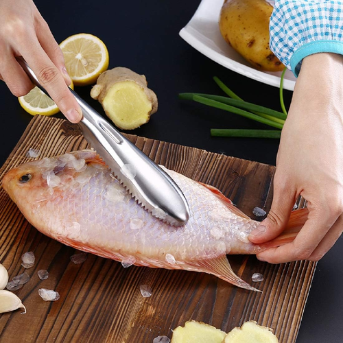 Portable Fish Scales Scraping Tool Fish Scaler Remover Fish Descaler