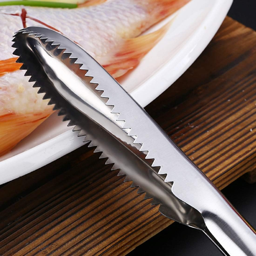 Portable Fish Scales Scraping Tool Fish Scaler Remover Fish Descaler