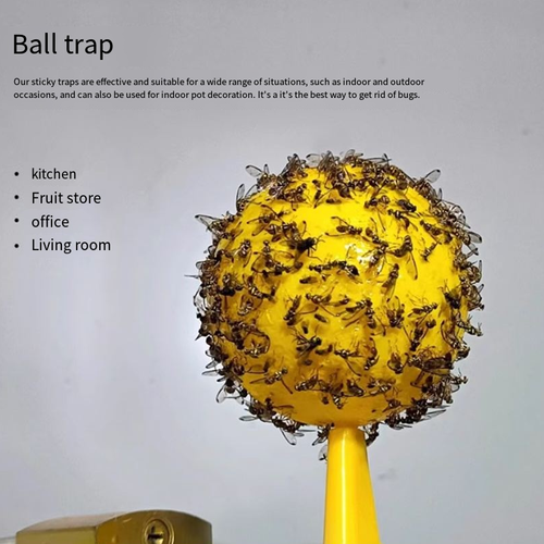 Hot Sale Indoor And Outdoor Garden Tools Fruit Fly Ball Fruit Fly Trap Ball Five Per Set