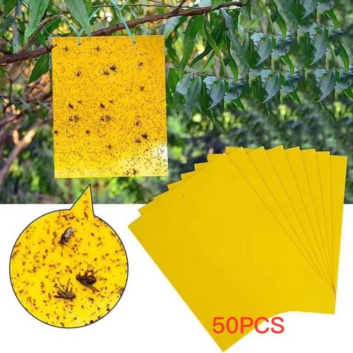 20*10cm Waterproof Fruit Fly Trap with Adhesive Double-sided Yellow Thrips Aphids Whitefly Sticker with 0.23 mm of Thickness 50pcs