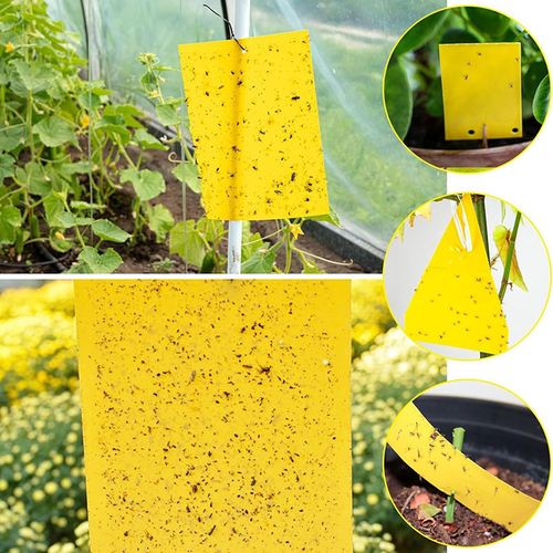 20*10cm Waterproof Fruit Fly Trap with Adhesive Double-sided Yellow Thrips Aphids Whitefly Sticker with 0.23 mm of Thickness 50pcs