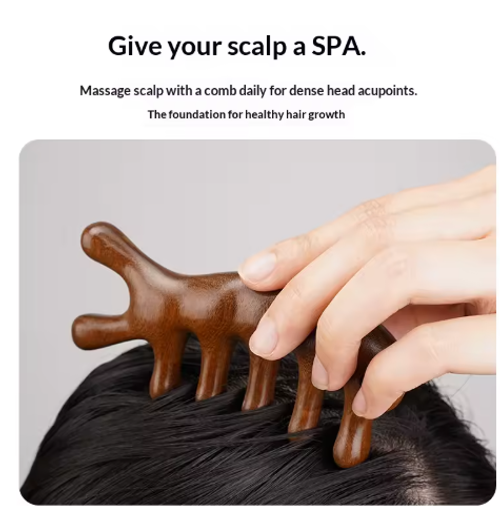 Golden Silk Sandalwood Seahorse Dolphin Head Meridian Massage Comb Relieve Muscle Stiffness Activate Blood Circulation Wooden——Gift Box Packaging