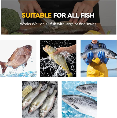 Portable Fish Scales Scraping Tool Fish Scaler Remover Fish Descaler