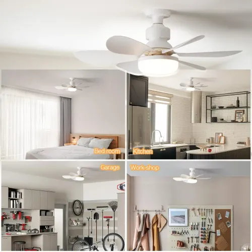 Remote-controlled ceiling fan with light
