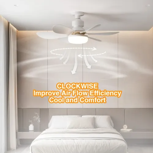 Remote-controlled ceiling fan with light