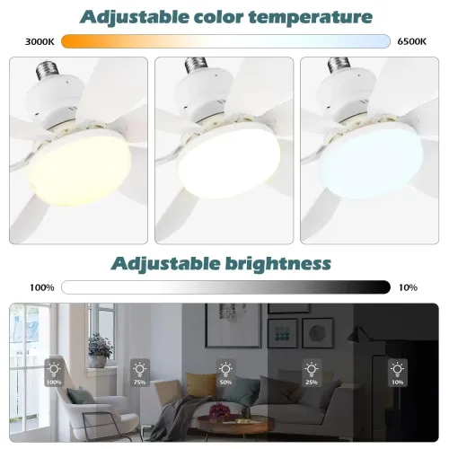 Remote-controlled ceiling fan with light