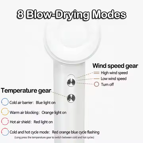 Tiktok Hot Hair Styling Tools Salon Nural Hair Dryer Care Styler Case for Hair Dryer