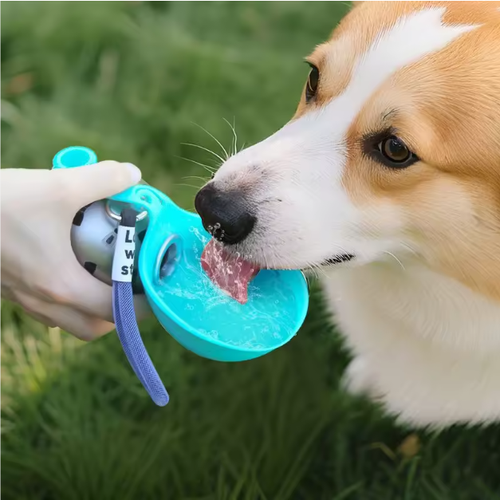 Custom Logo Eco-Friendly 285ml Silicone Dog Bowl with Integrated Steel Bottle Ball Shape Portable Pet Feeding Bottle