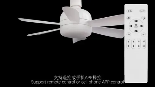 Screw-type lamp holder fan household silent fan chandelier easy to install remote control ceiling fan light electric fan light fan light