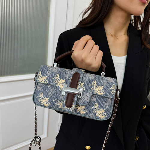 Luxury Vintage Chain Strap Bag 2025 – Minimalist Square Crossbody Purse for Women, Elegant Shoulder & Hand Carry Clutch