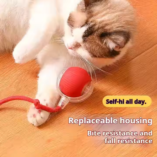 2025 New Arrival Eco-Friendly Pet Interactive Toy Ball with Tail Automatic Teaser for Cat Dog Trending Pet Supplies Products