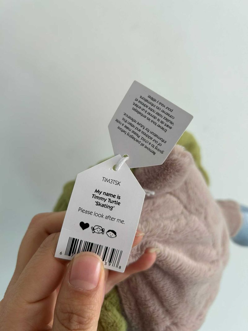 Timmy Turtle 'Skating'