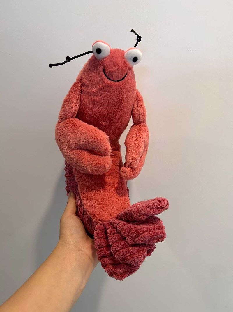 Larry Lobster - Large & Medium