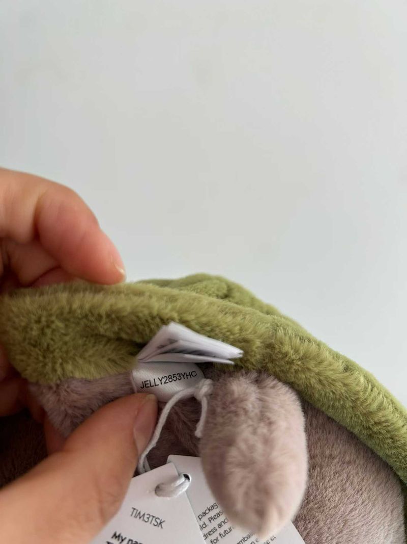 Timmy Turtle 'Skating'