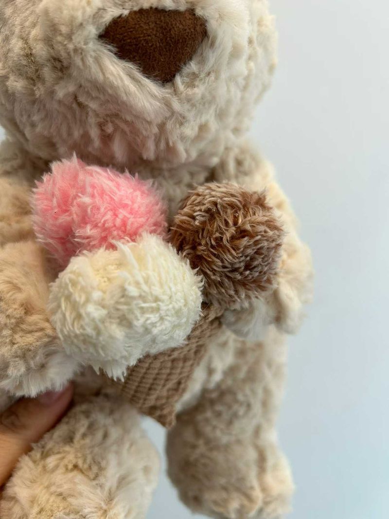 Oatus Bear with Ice Cream us
