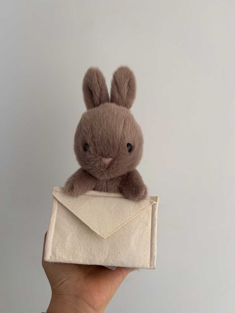 Messenger Bunny