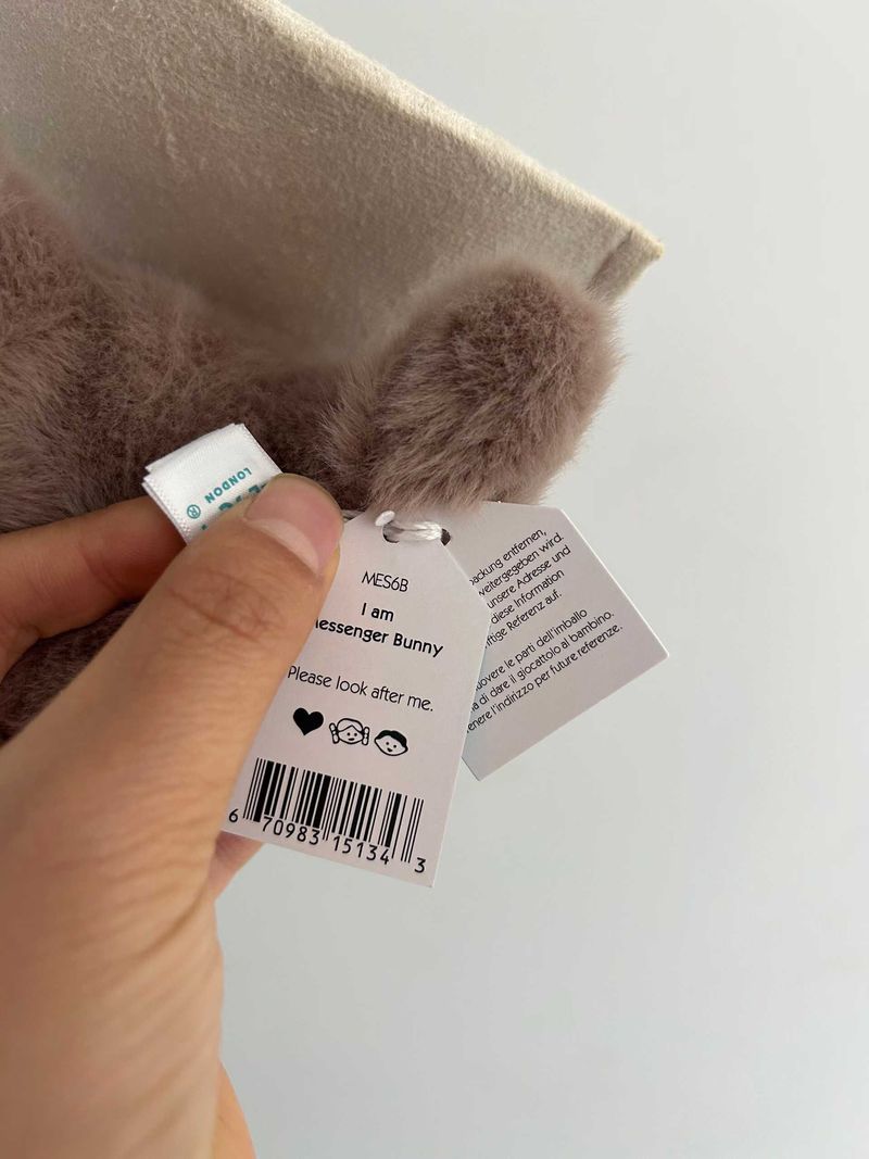 Messenger Bunny